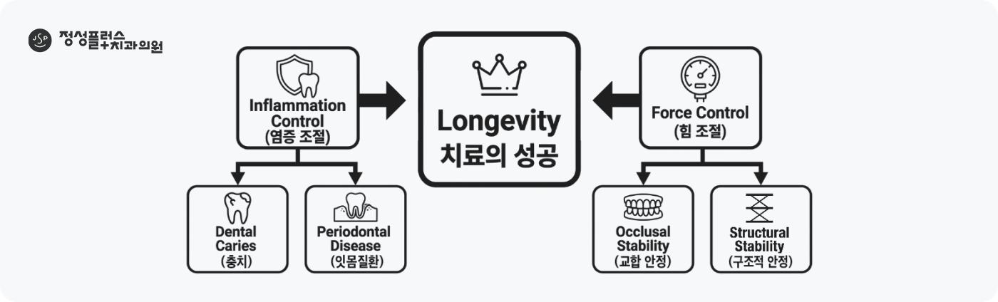 정성플러스치과가 지향하는 진료 - 염증 조절과 힘 조절을 통한 Longevity 치료의 성공
