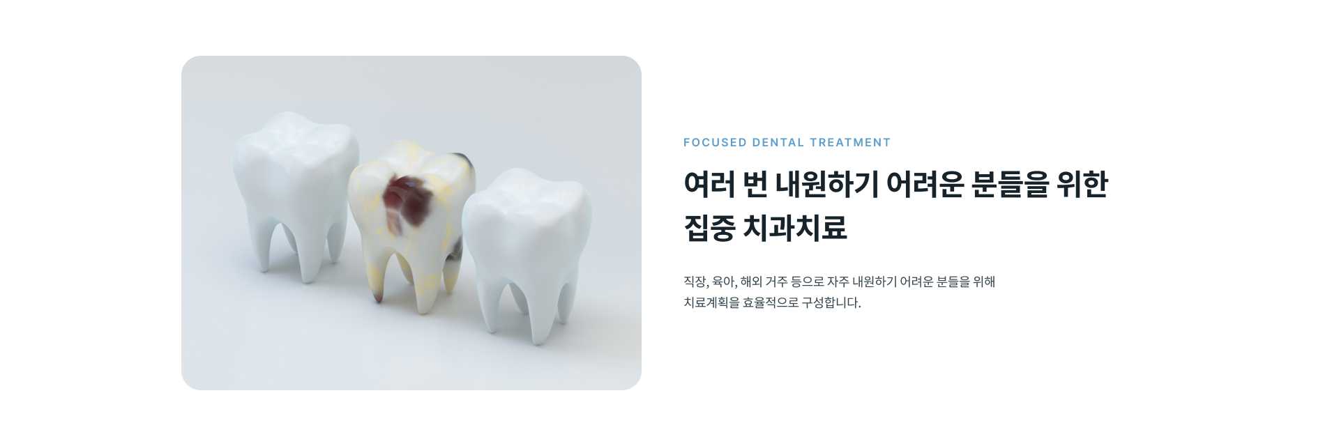 직장, 육아, 해외 거주 등 여러 번 내원하기 어려운 분들을 위한 집중 치과치료 안내