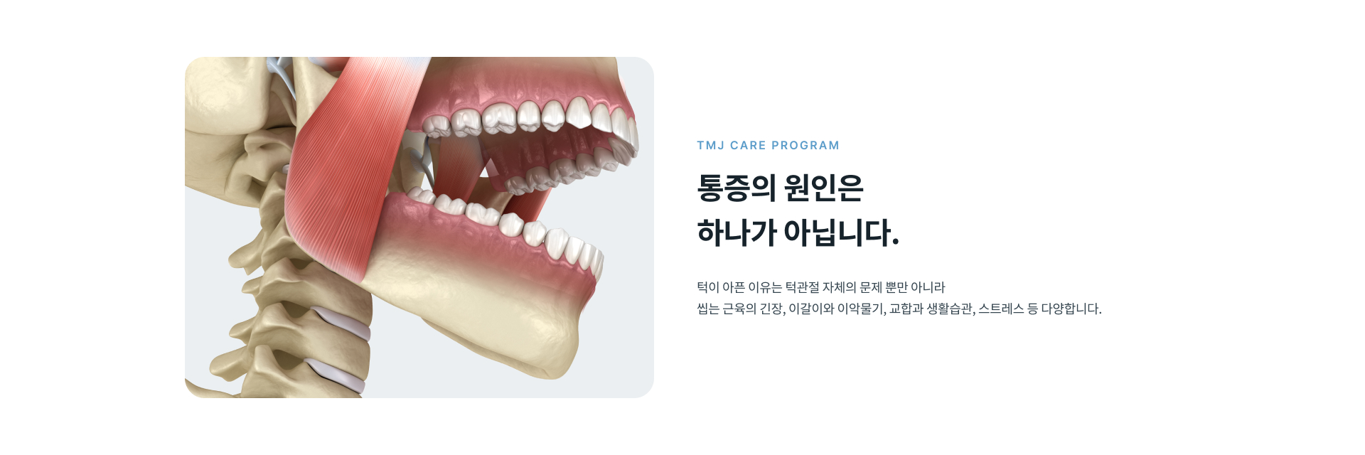 턱관절과 씹는 근육 상태, 치아에 가해지는 힘과 생활습관을 확인해 통증 원인을 살펴보는 정성플러스치과 턱관절 드림치 관리